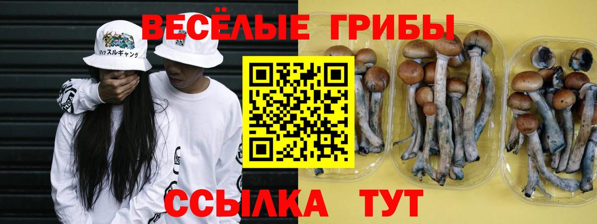 Галлюциногенные грибы ЛСД  Вход с VPN  Псилоцибиновые грибы мицелий  Псков 